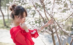 我和一个偷吃禁果的女孩的故事